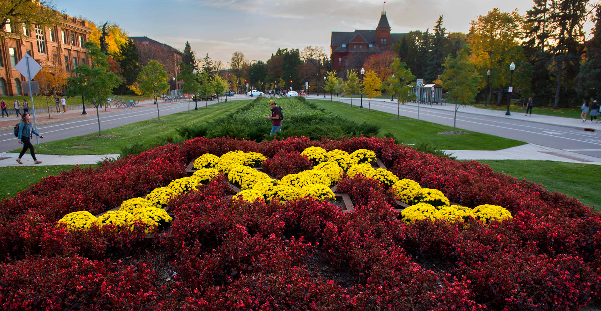 University Of Minnesota Garden Background