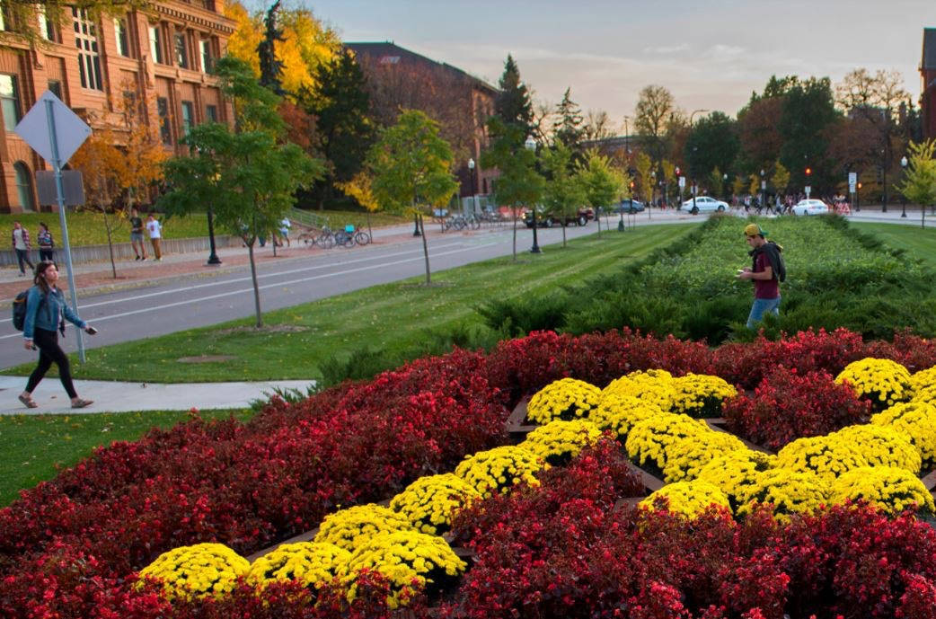 University Of Minnesota Logo In Garden Background