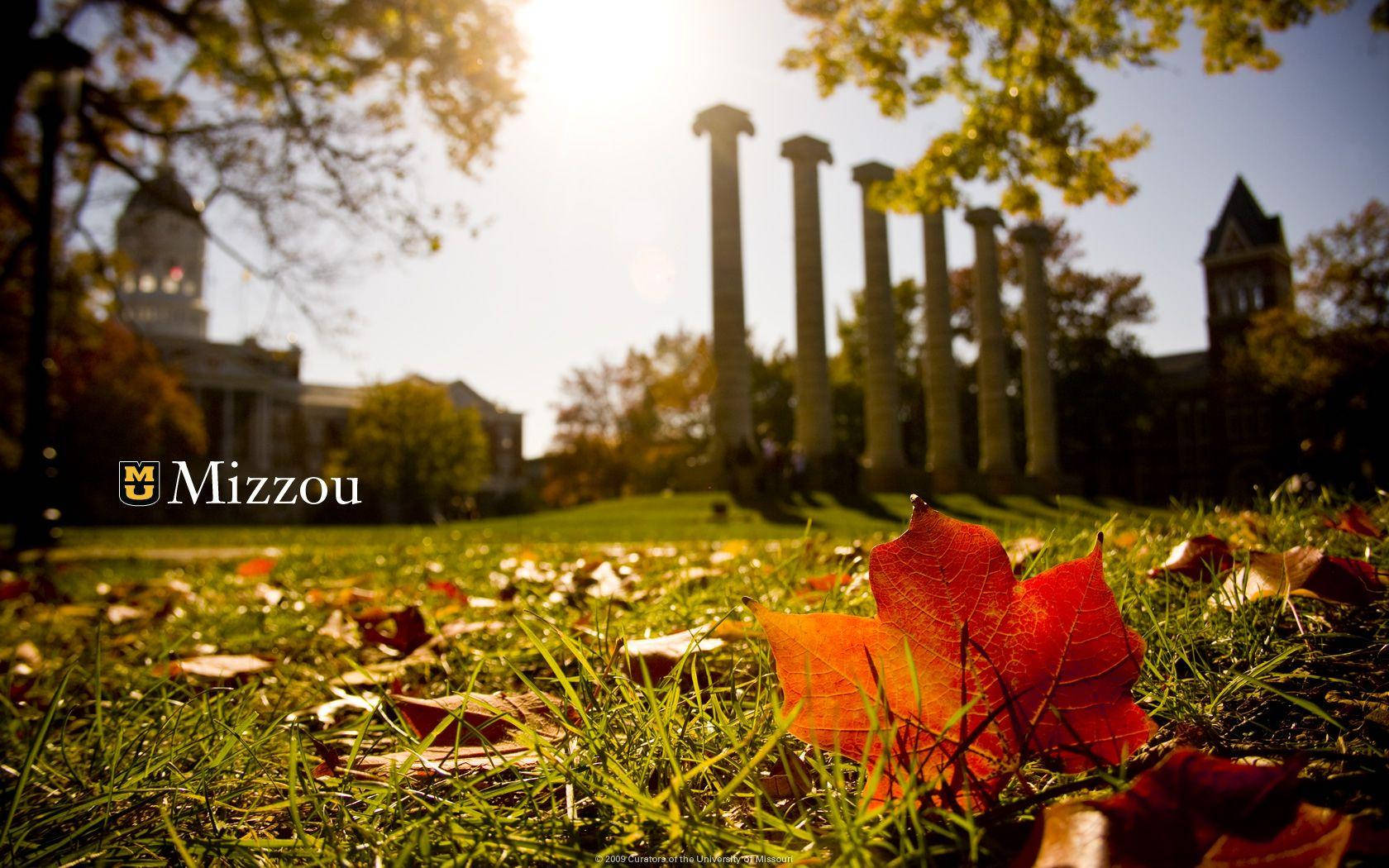 University Of Missouri Autumn Leaves And Columns