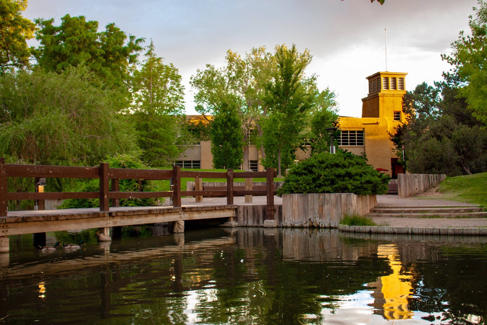 University Of New Mexico Duck Pond Background