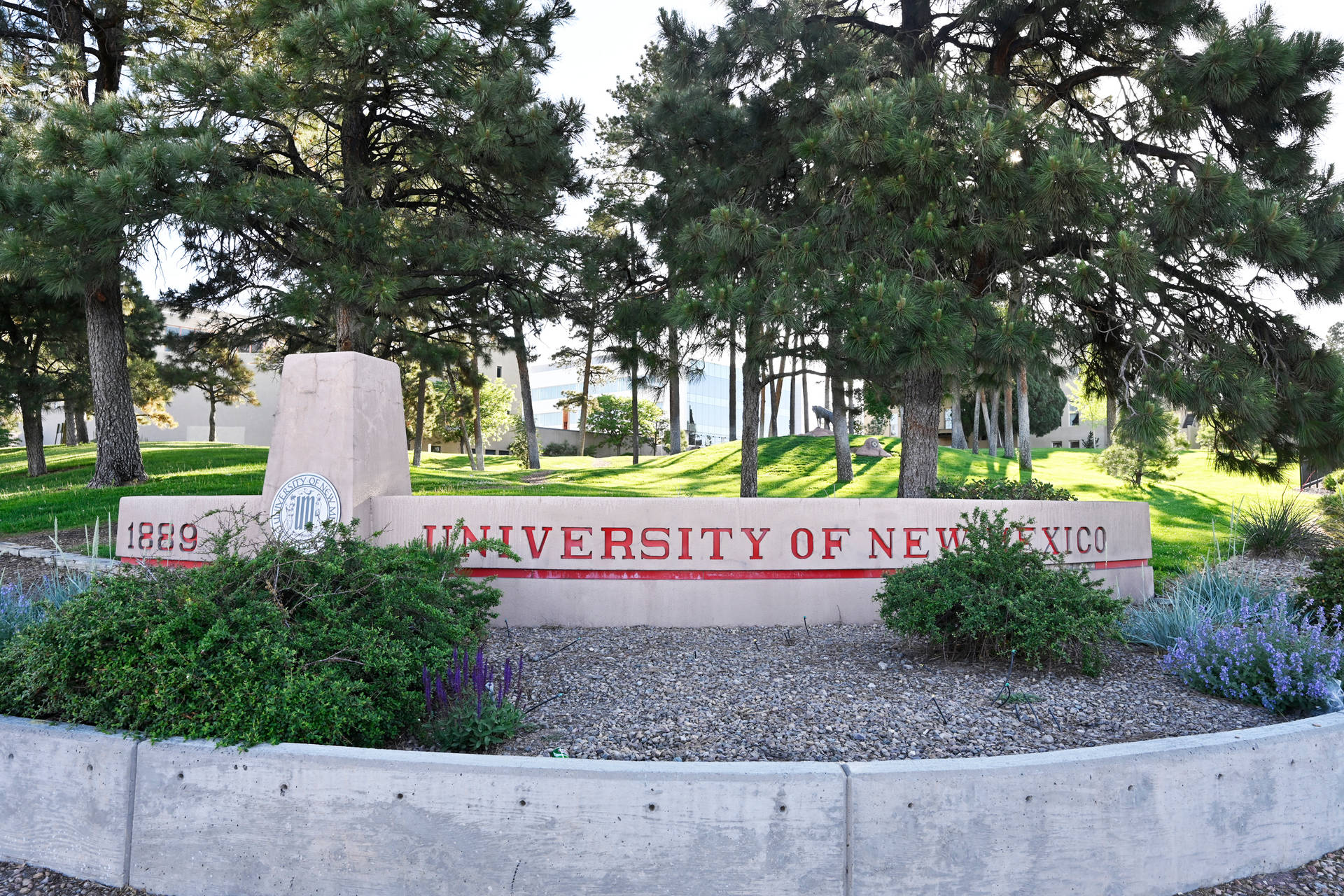 University Of New Mexico Entrance Background