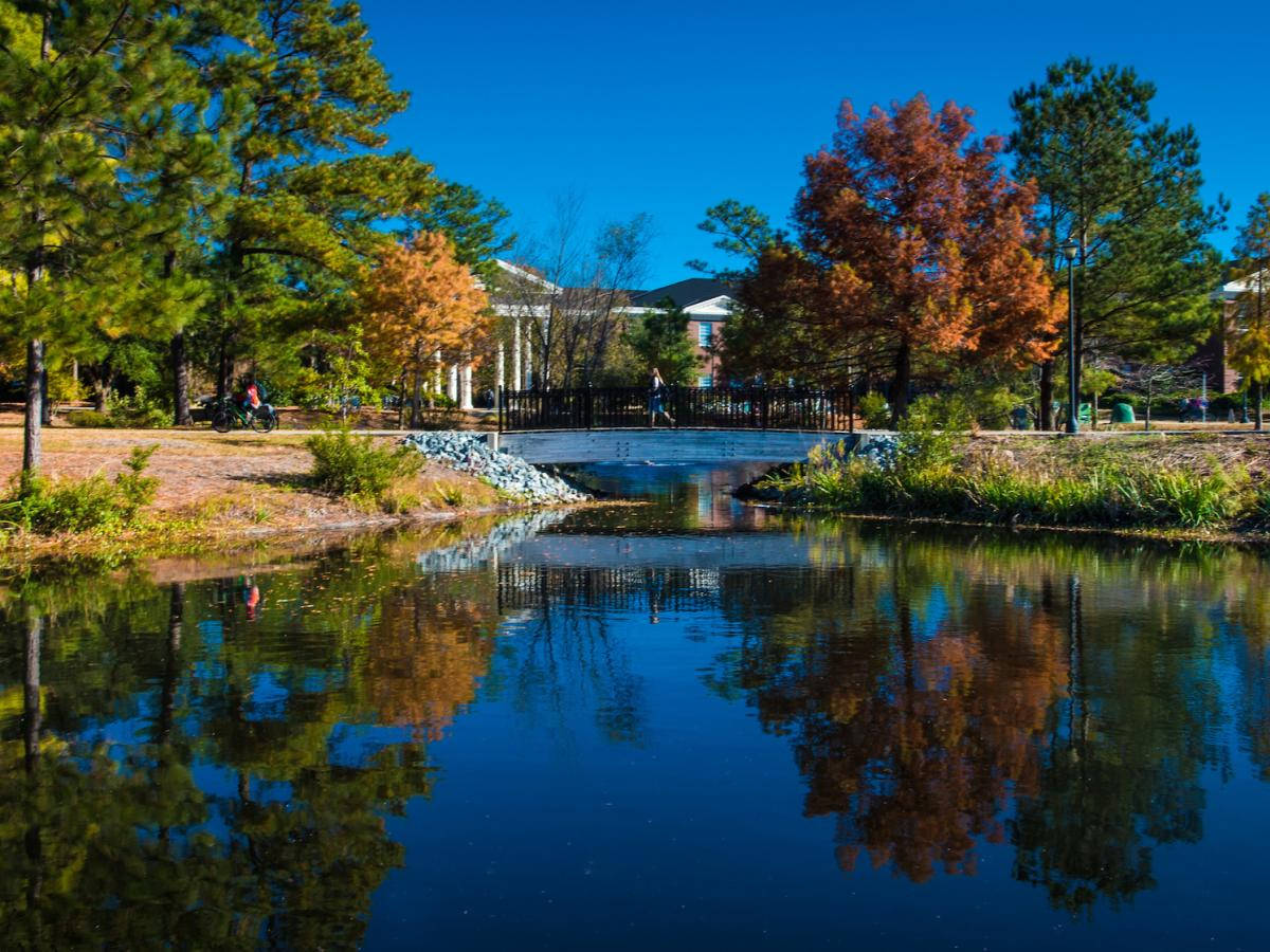 University Of North Carolina Wilmington Beautiful Scenery Background