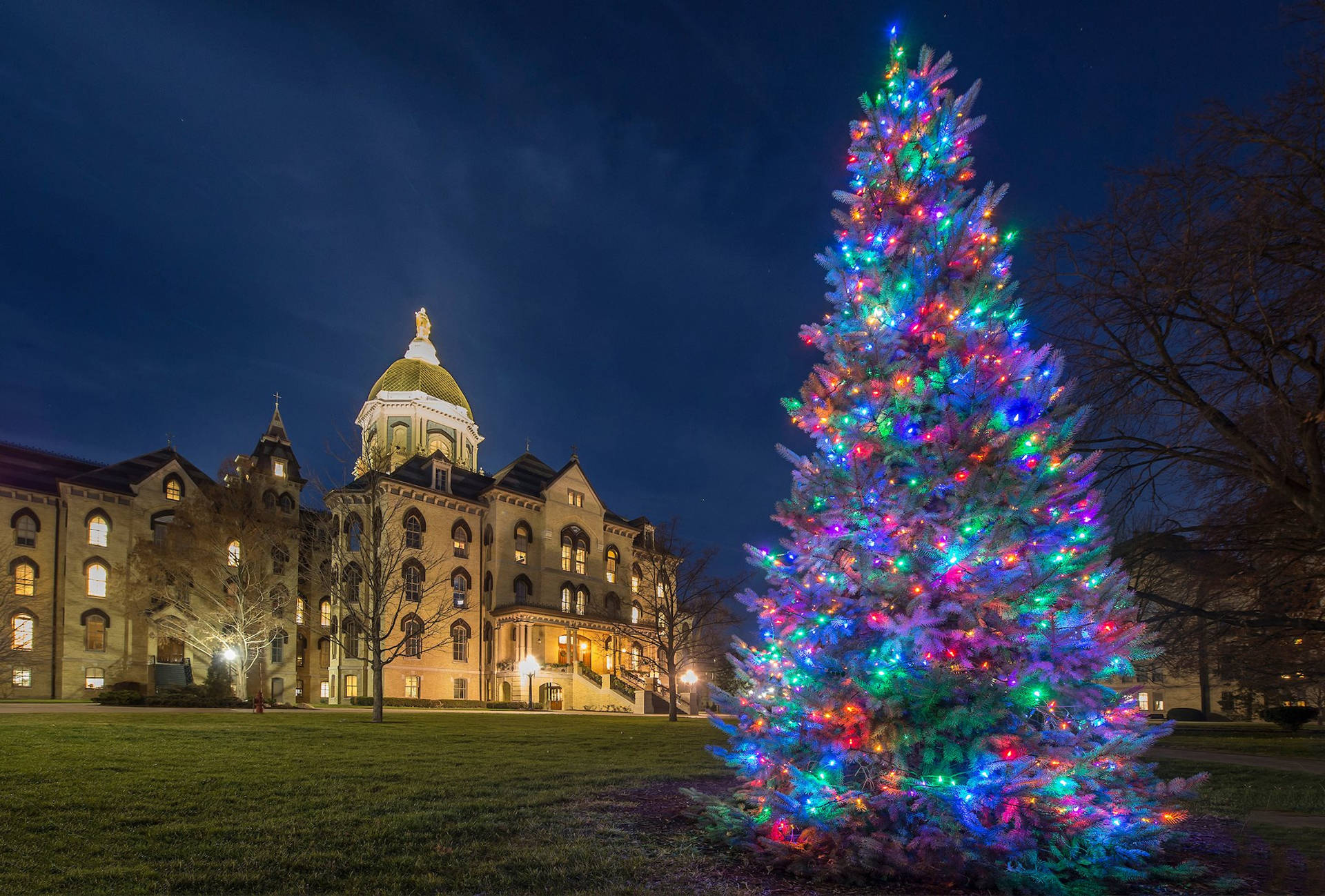 University Of Notre Dame Christmas Tree