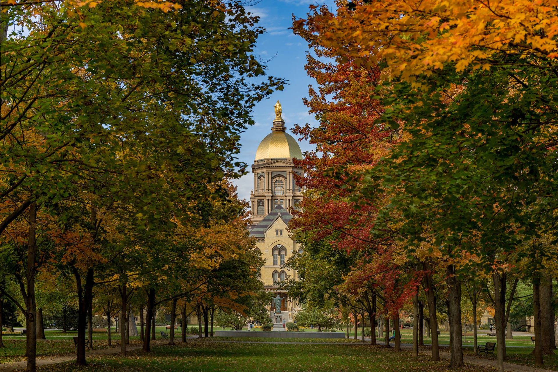 University Of Notre Dame Main Building Amongst Beautiful Greenery Background