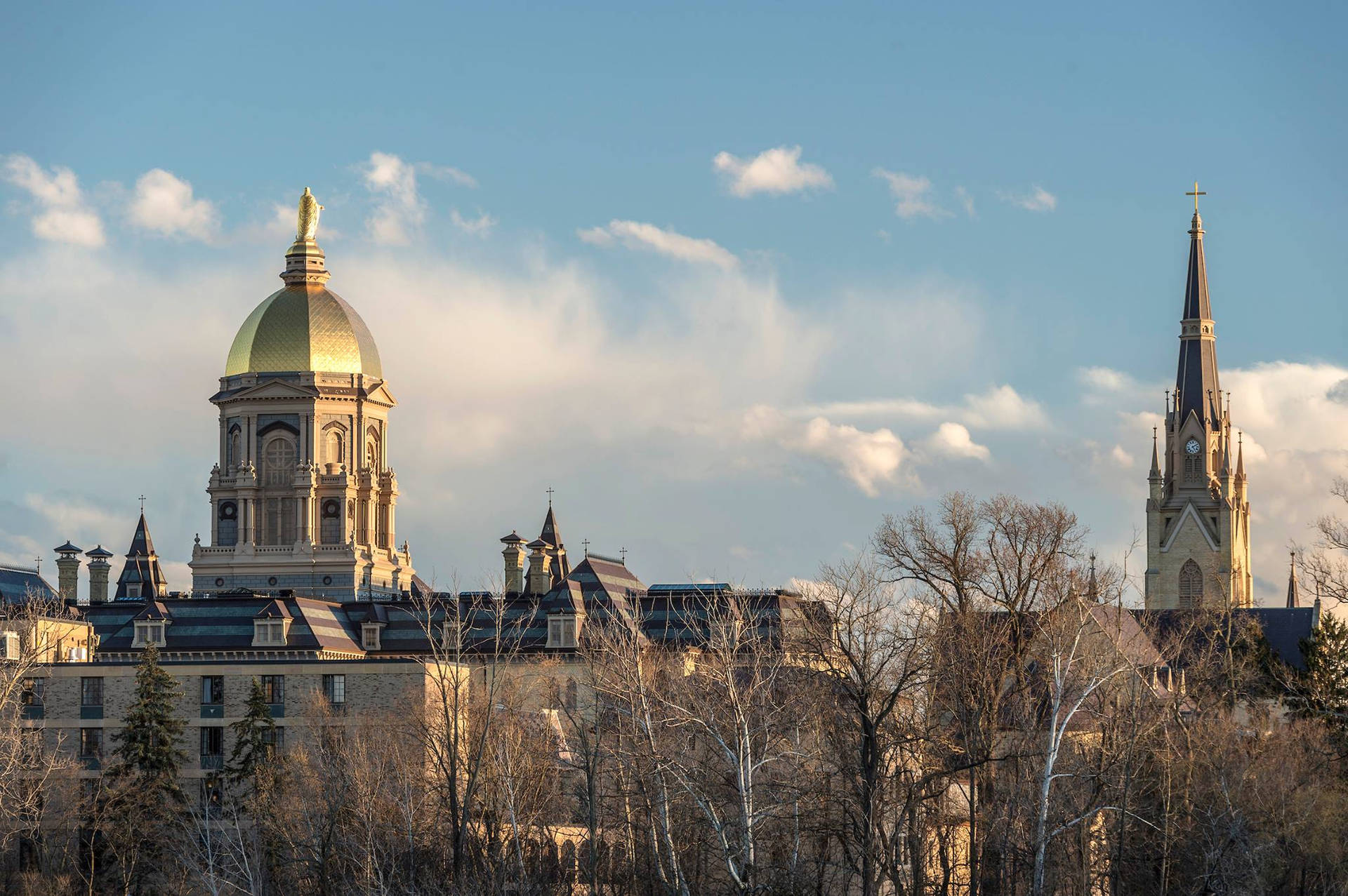 University Of Notre Dame With Leafless Trees Background