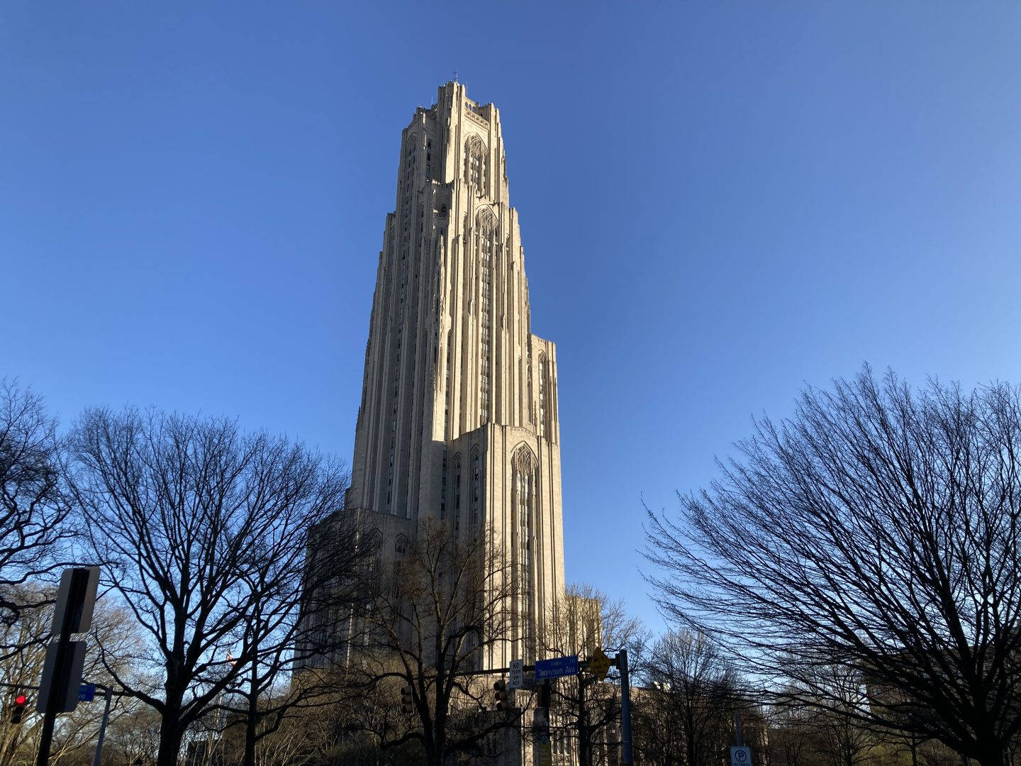 University Of Pittsburgh And Bare Trees