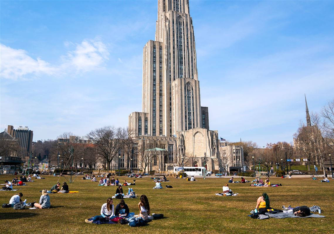 University Of Pittsburgh Open Field