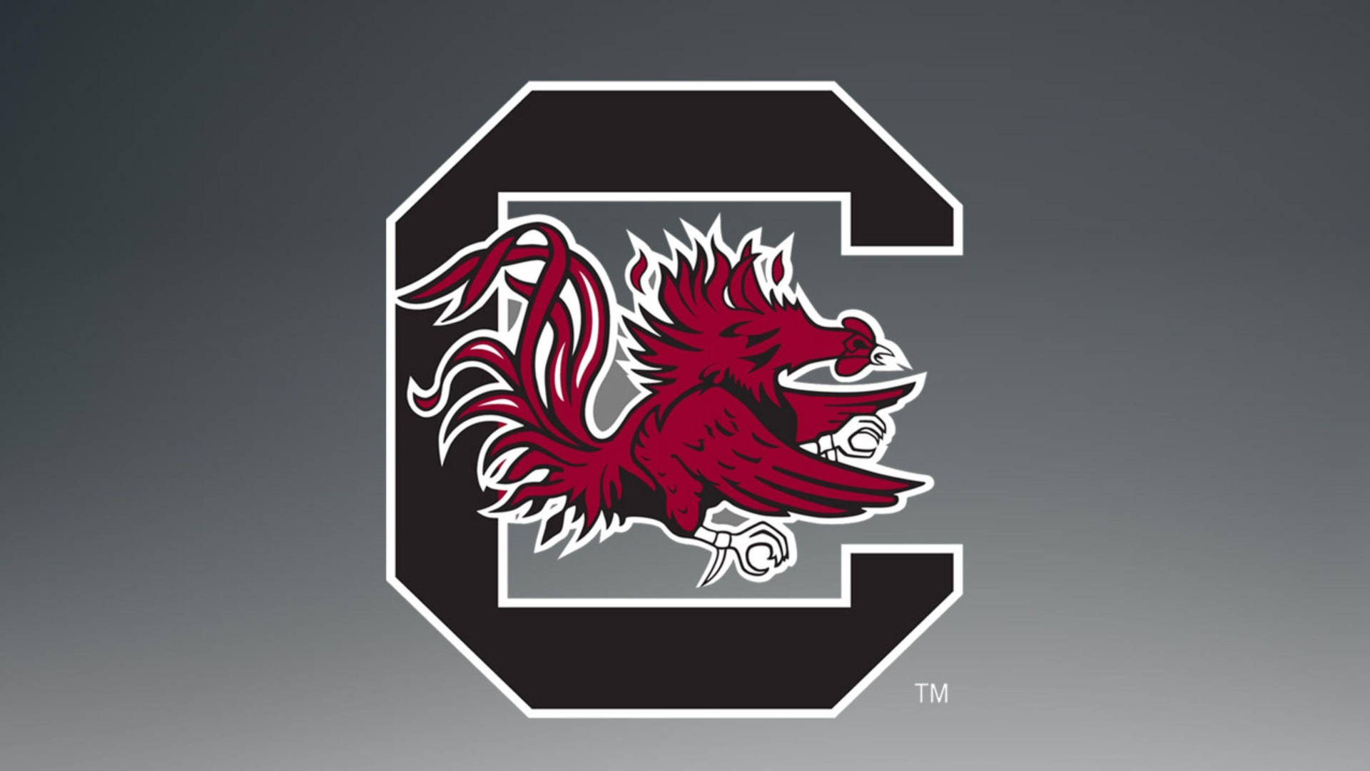 University Of South Carolina Logo