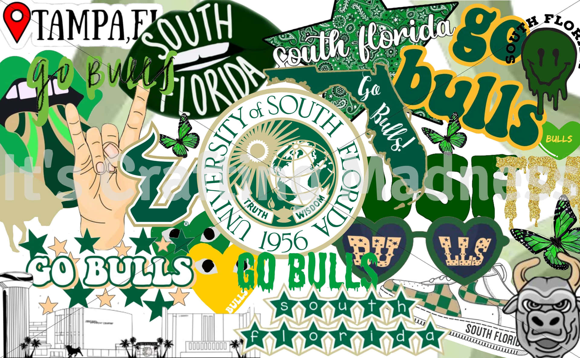 University Of South Florida Aesthetic Collage