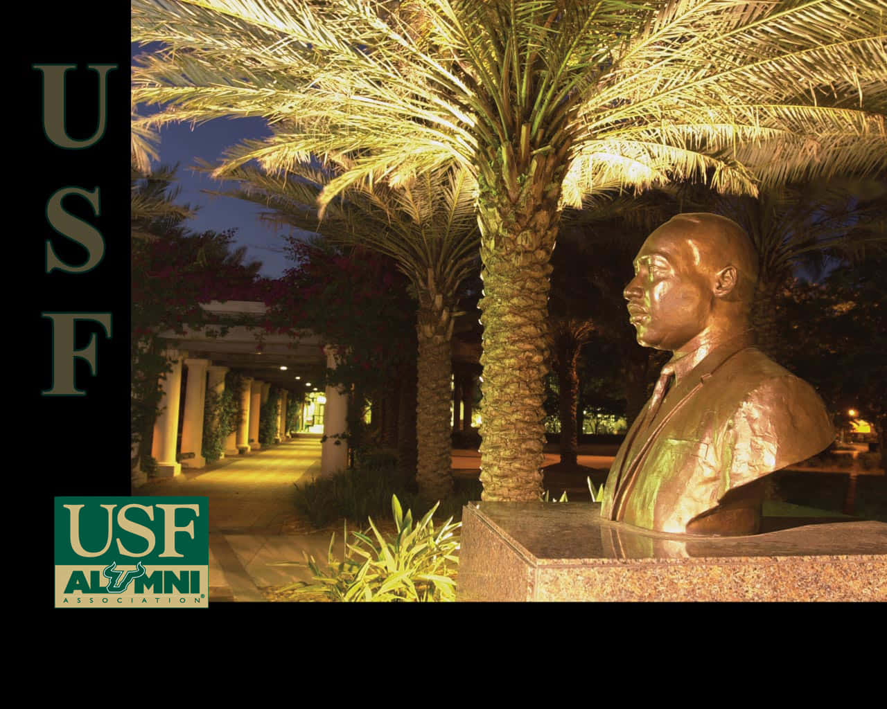 University Of South Florida Alumni Statue Background