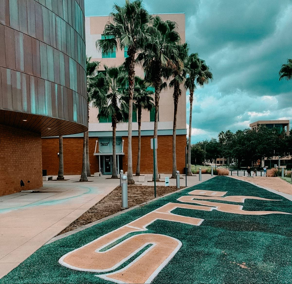 University Of South Florida Beautiful Campus Background