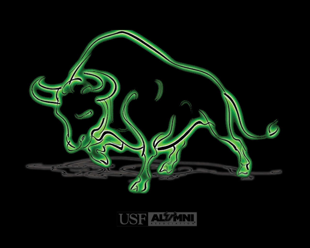 University Of South Florida Bulls Edited Background