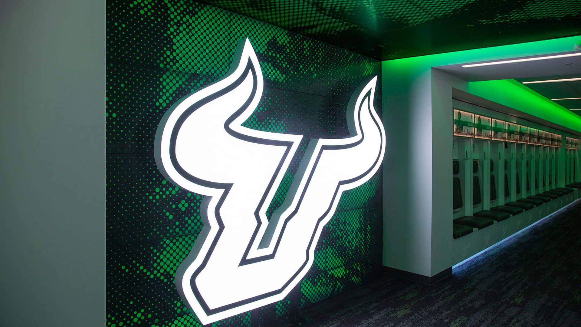 University Of South Florida Bulls Logo Illuminated