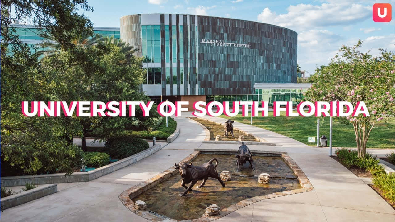 University Of South Florida Campus Background