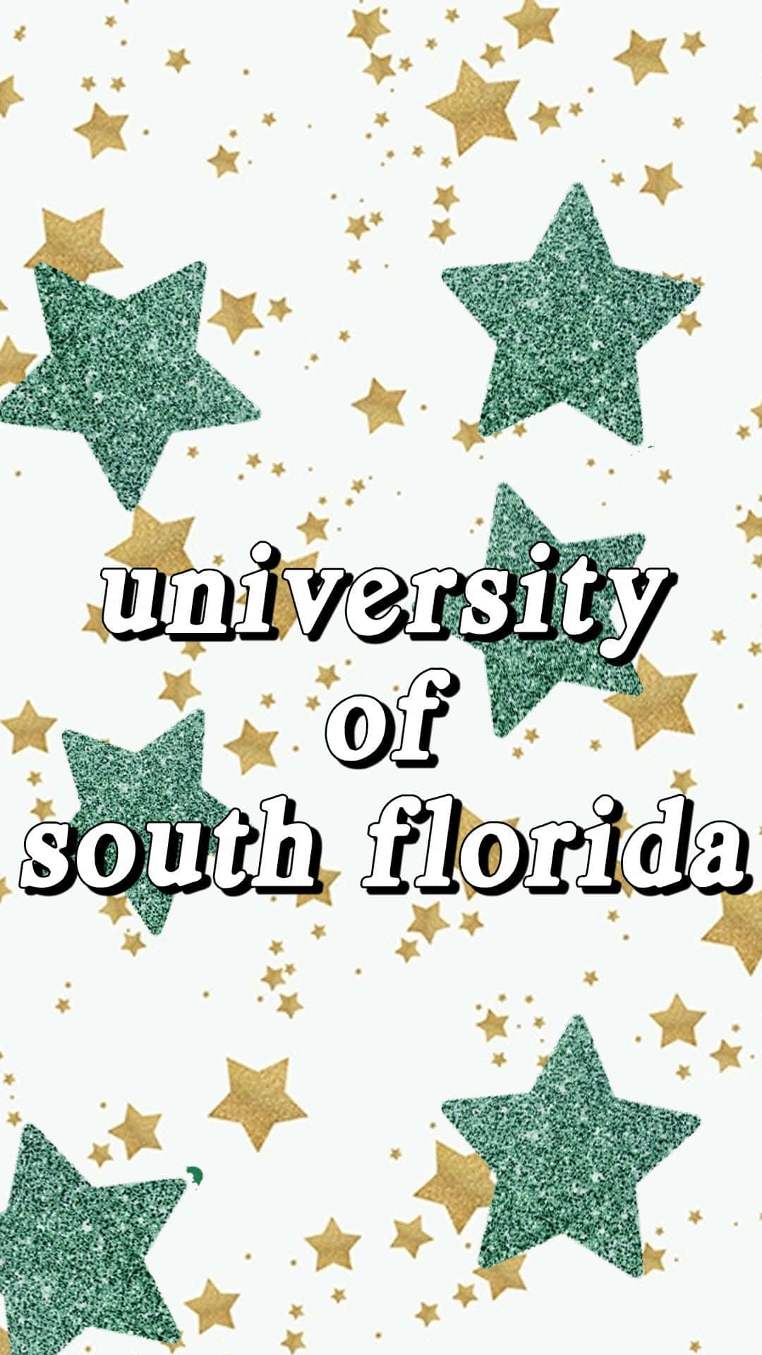 University Of South Florida Campus Illuminated Under The Stars Background