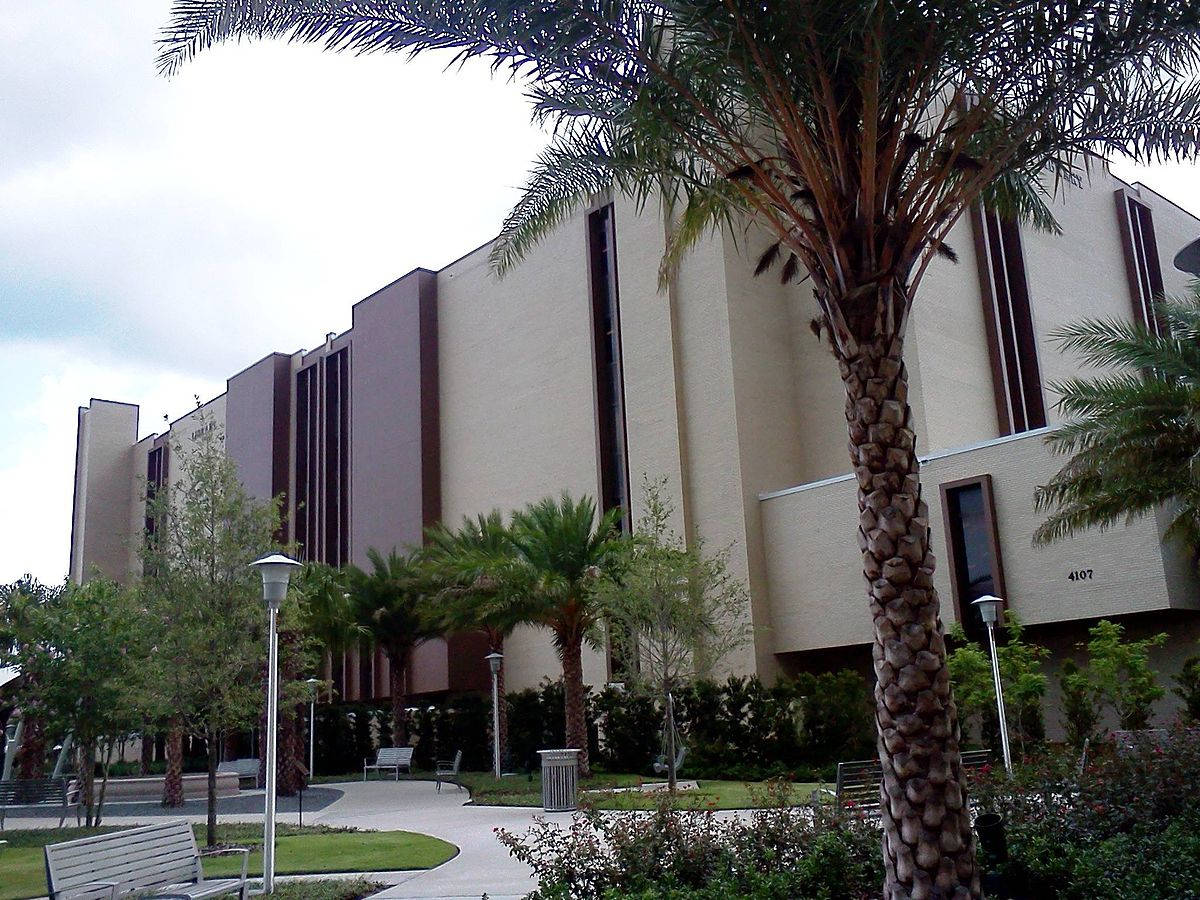 University Of South Florida Library Background