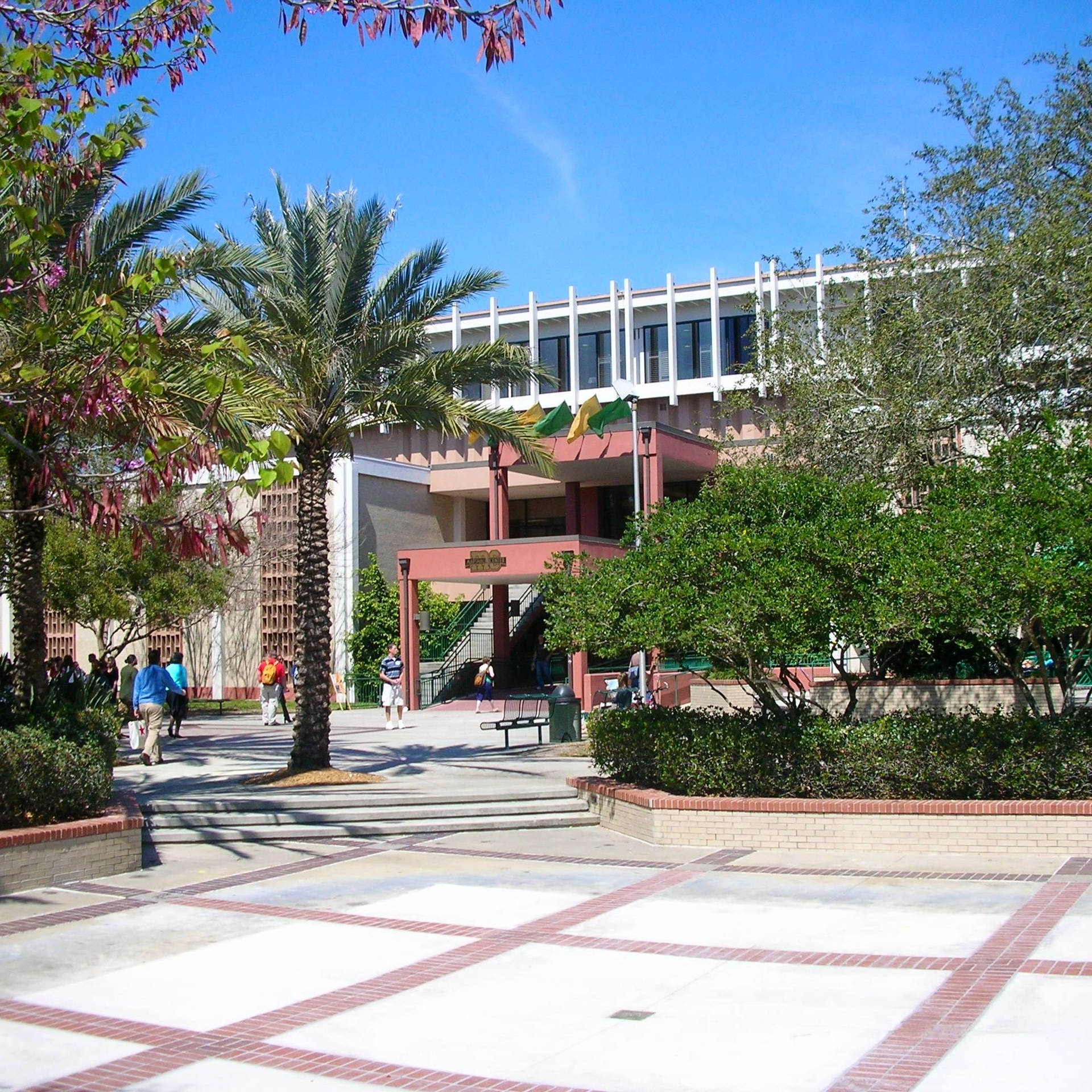 University Of South Florida Main Campus Background