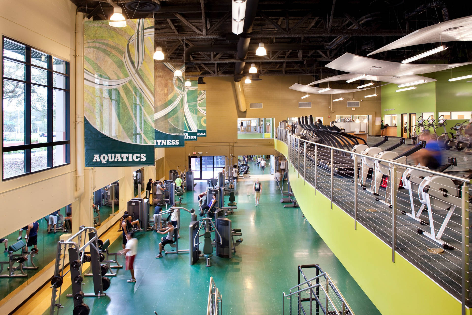 University Of South Florida Student Wellness Center