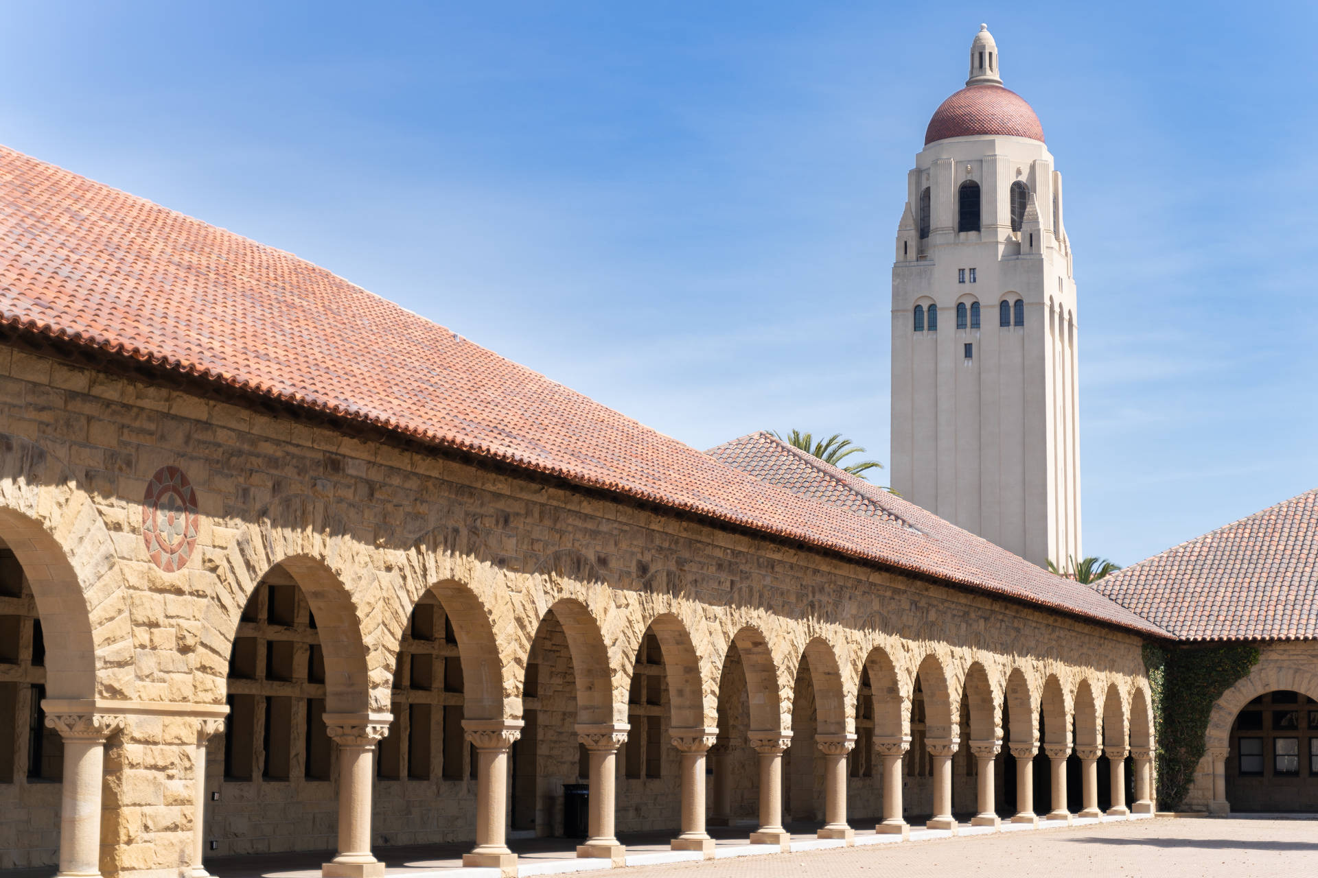 University Of Stanford
