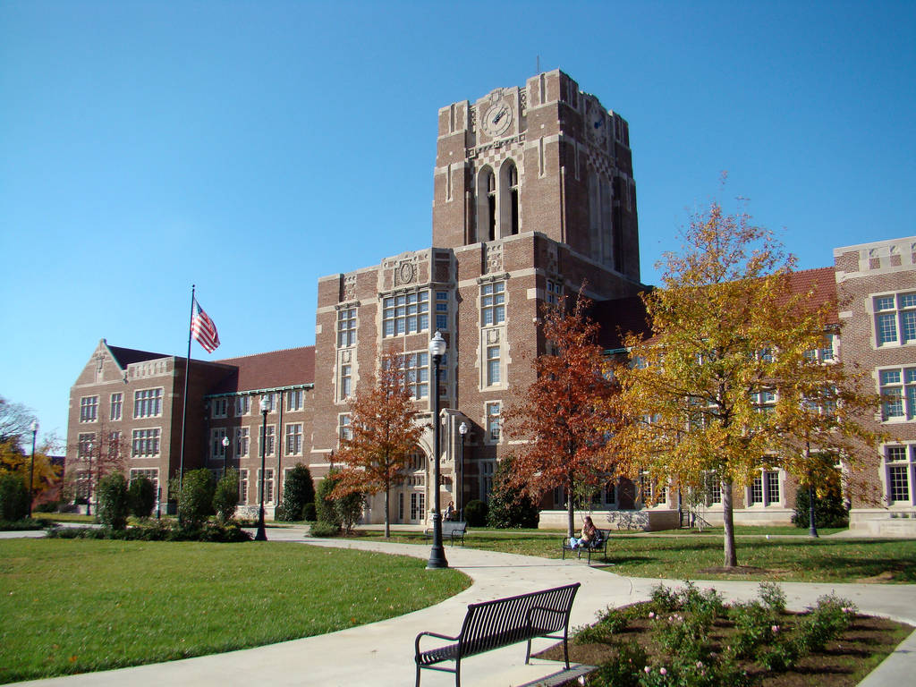 University Of Tennessee Knoxville