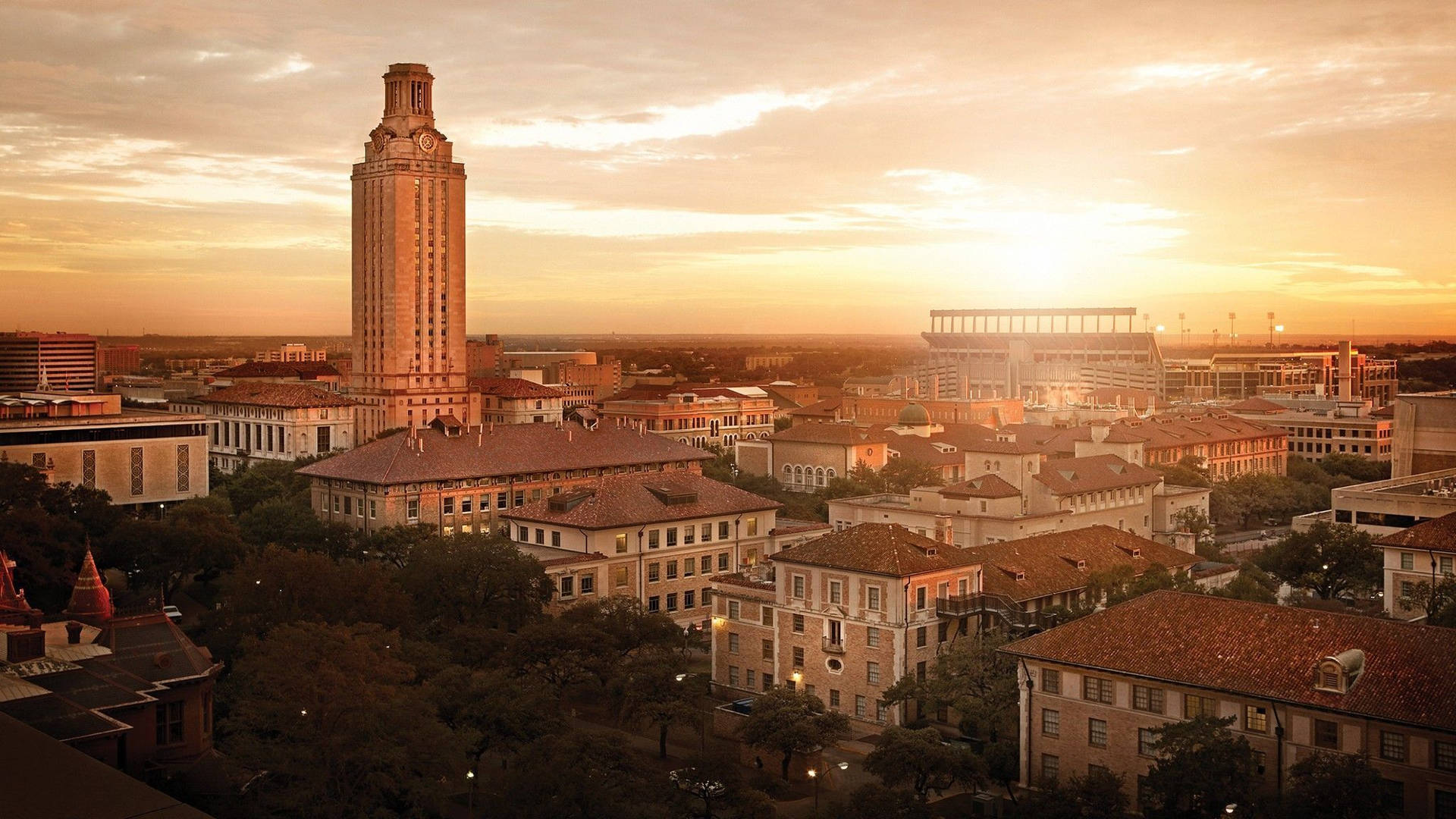 University Of Texas Public University Background