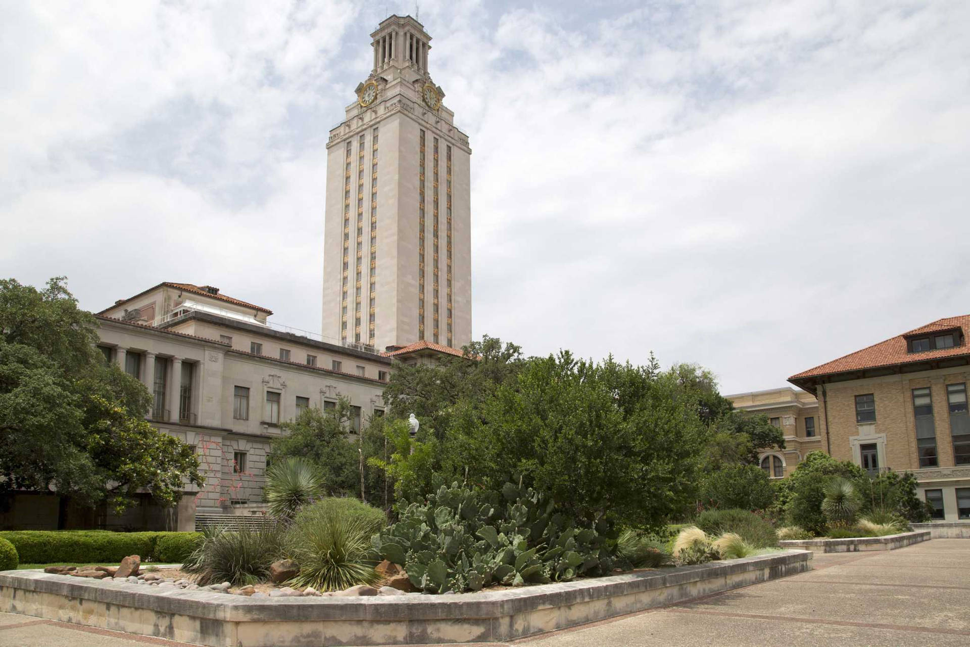 University Of Texas White Clock Tower Background