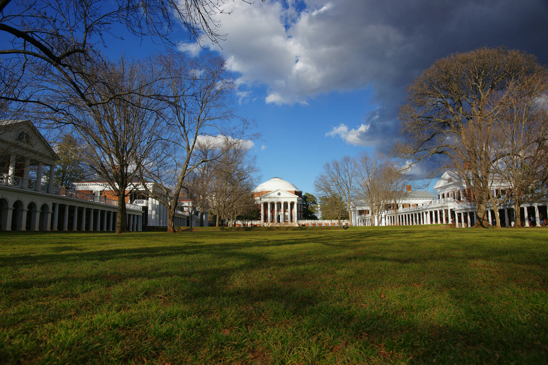 University Of Virginia Green Field Background