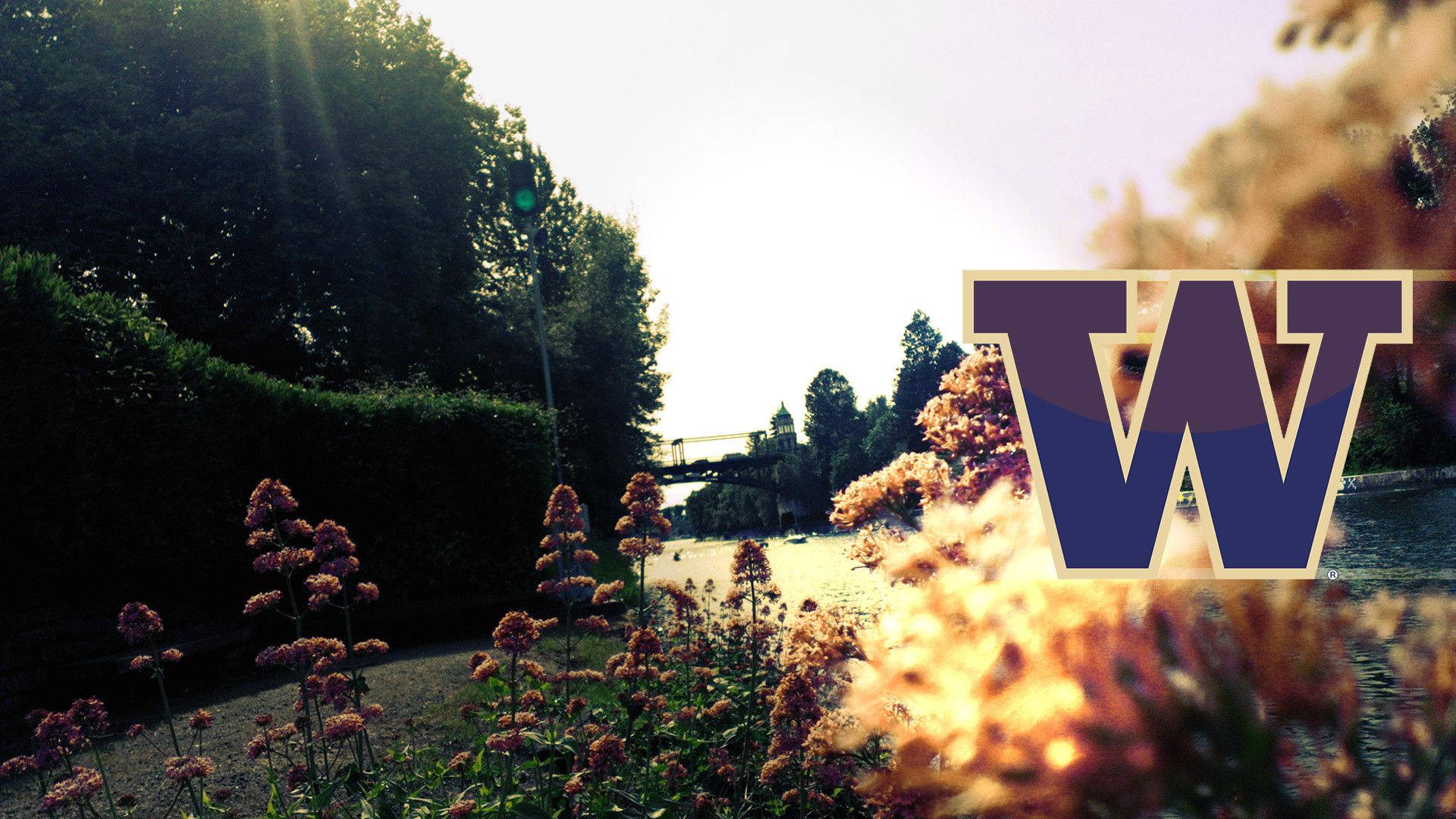 University Of Washington Garden Background