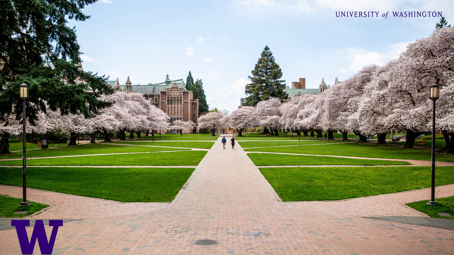 University Of Washington Quad Background