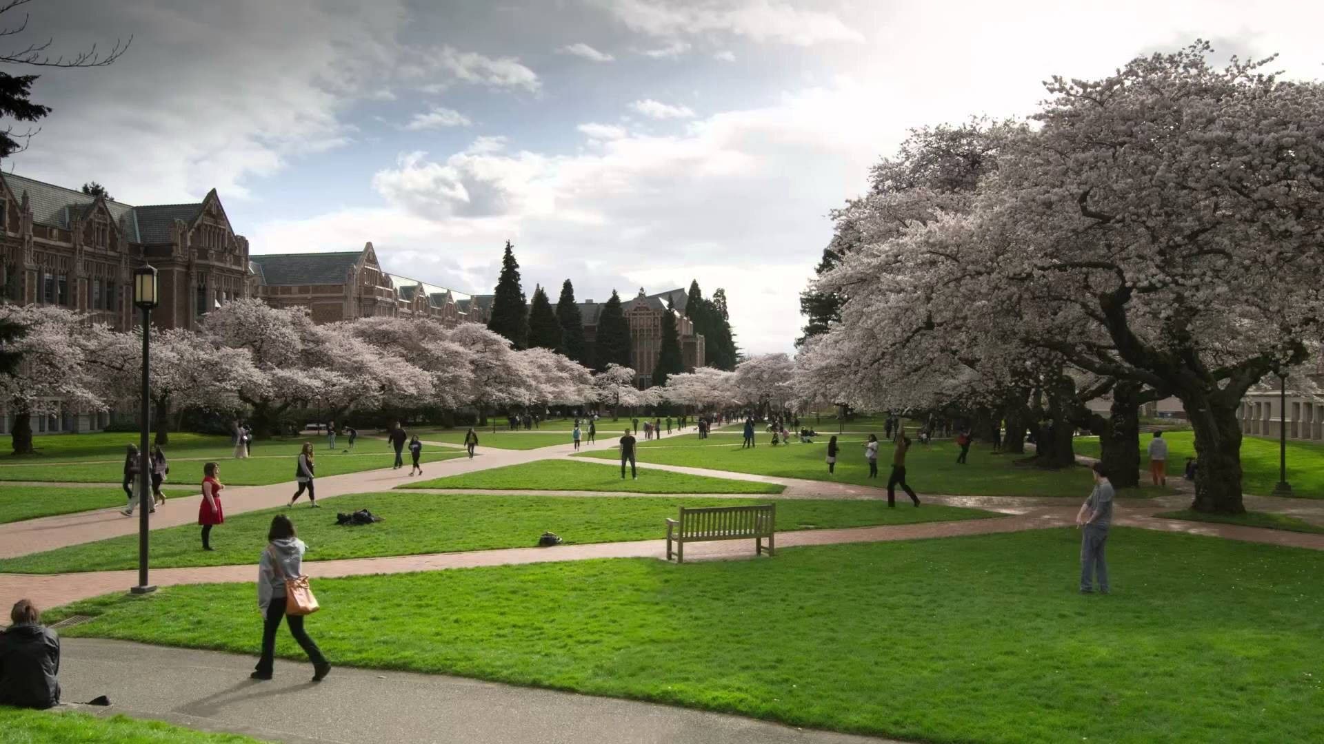 University Of Washington's The Quad