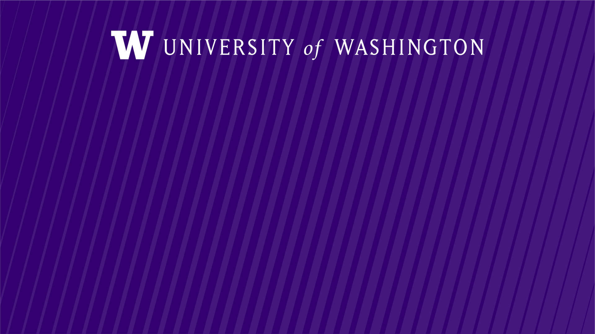 University Of Washington Slanted Striped Backdrop