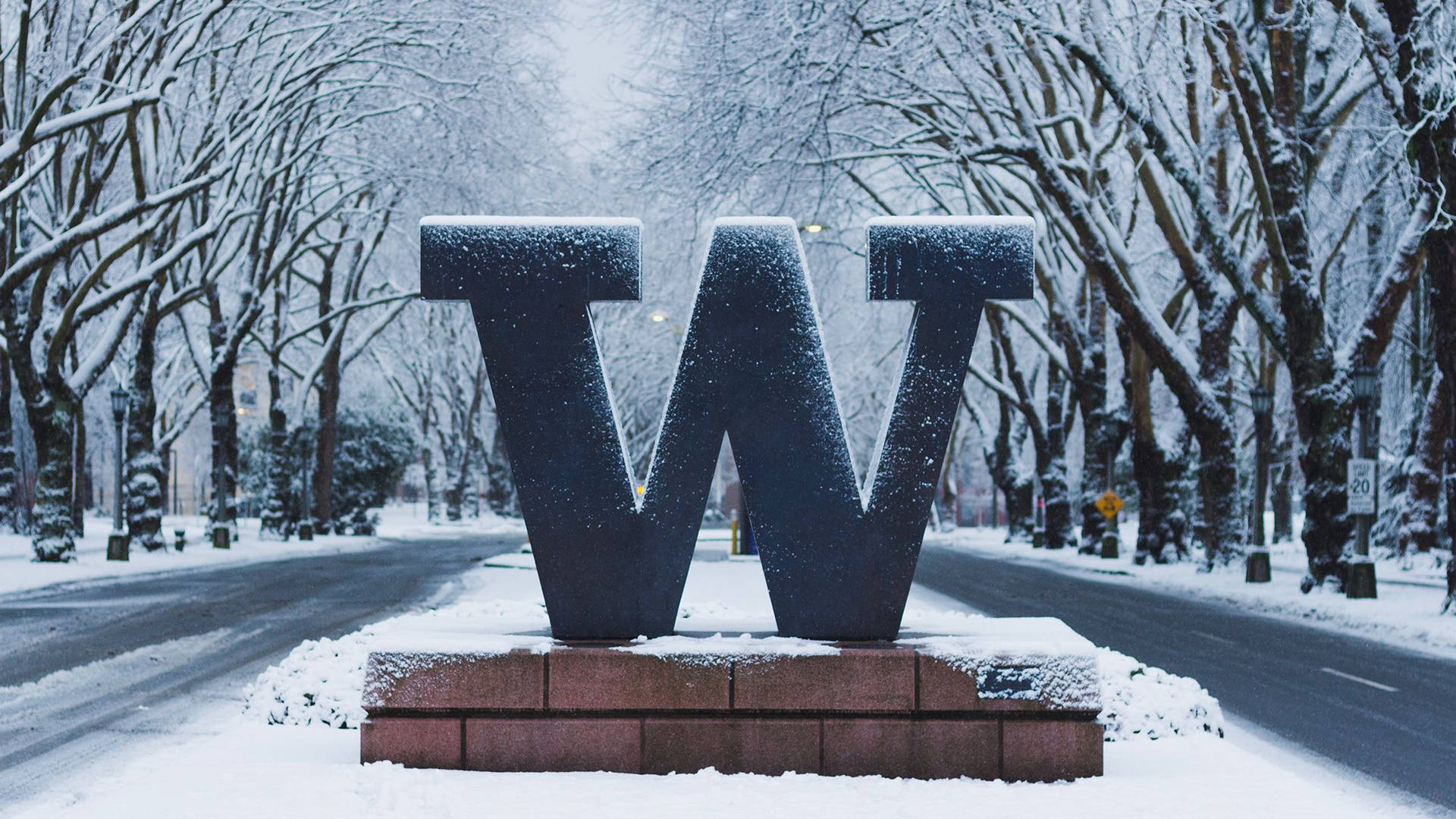 University Of Washington W Sign With Snow Background