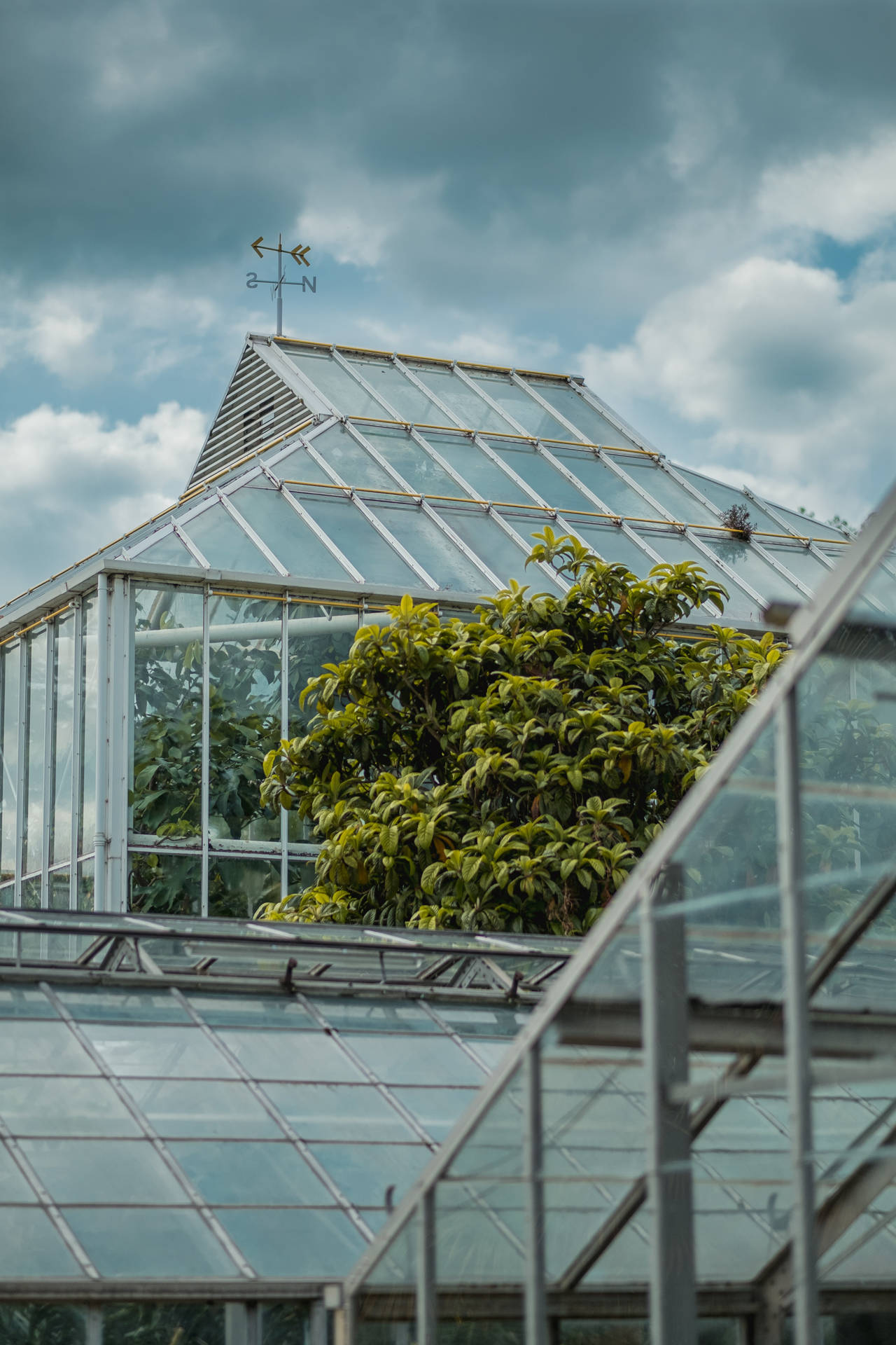 University Of Wisconsin-madison Botanical Garden Background