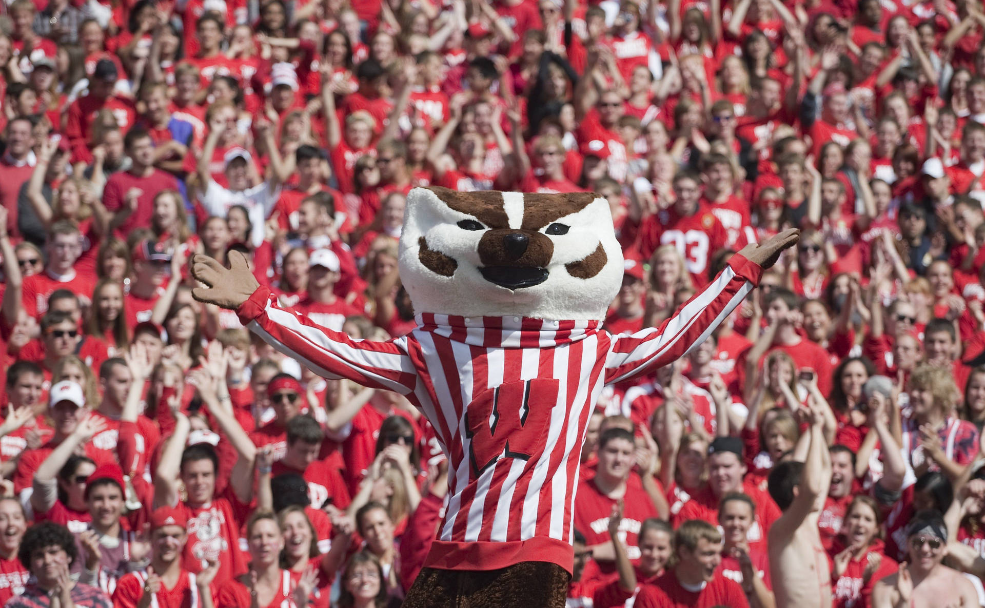 University Of Wisconsin-madison Dancing Mascott Background