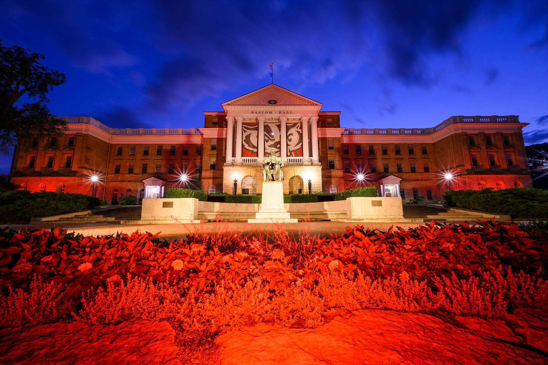 University Of Wisconsin-madison Hall Plants Background