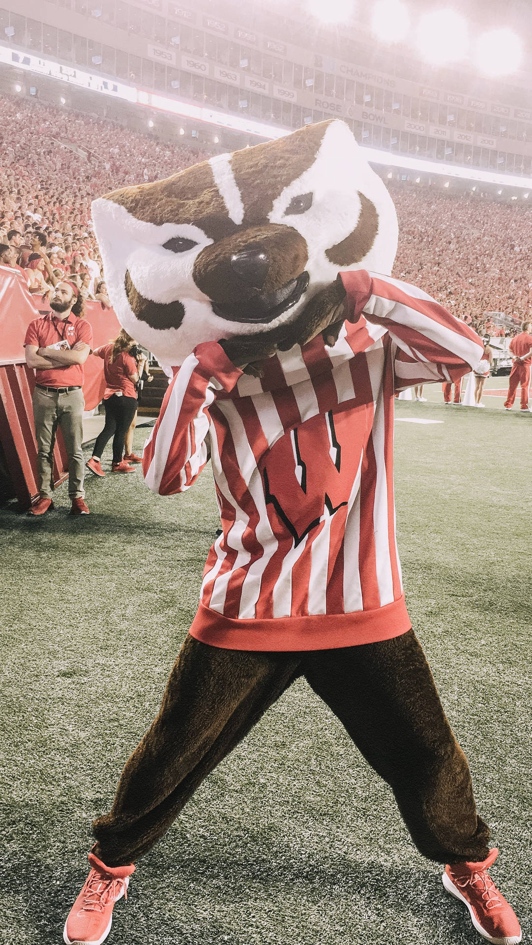 University Of Wisconsin-madison Mascot Background