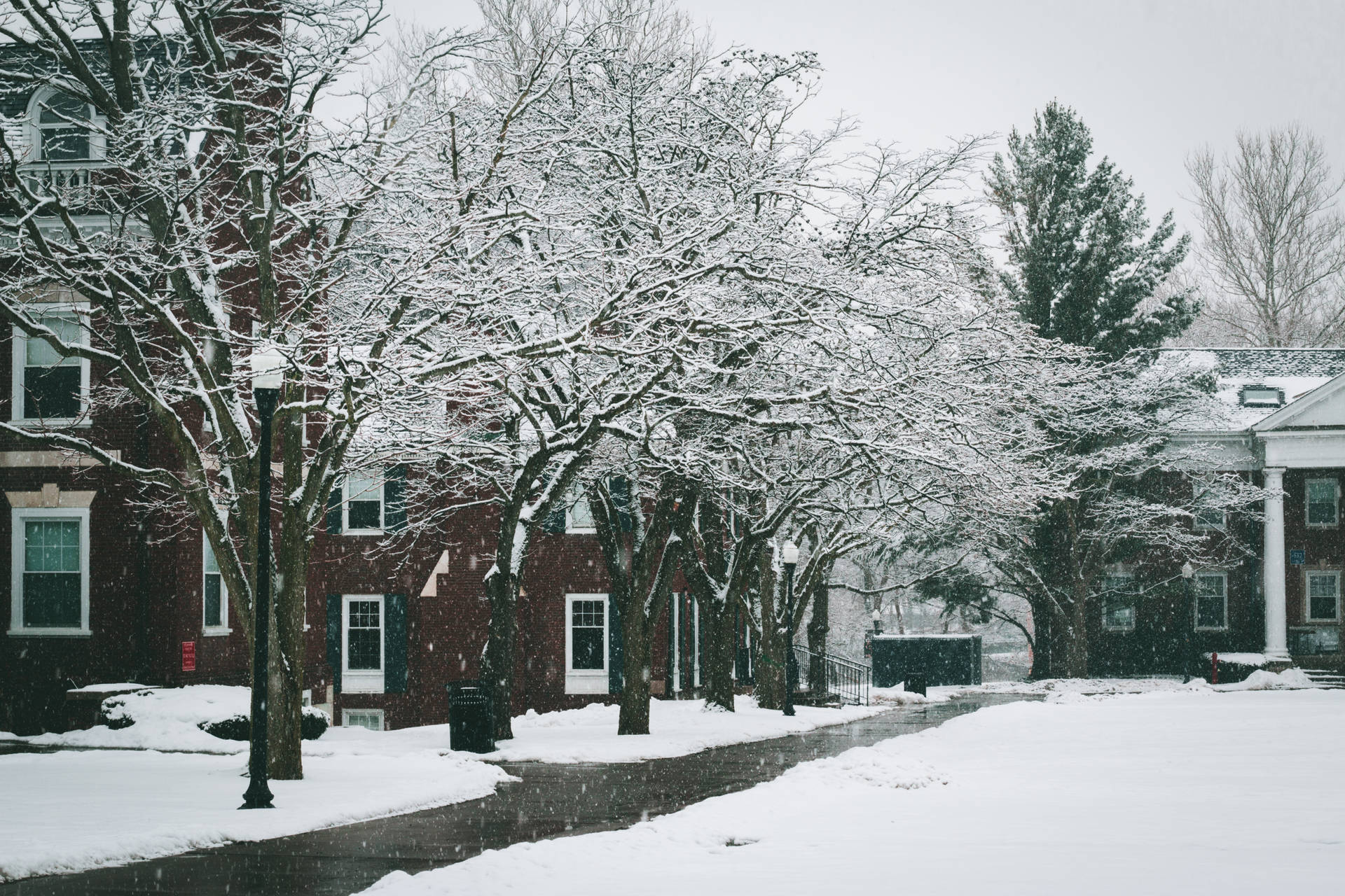 University With Snow Covered Trees