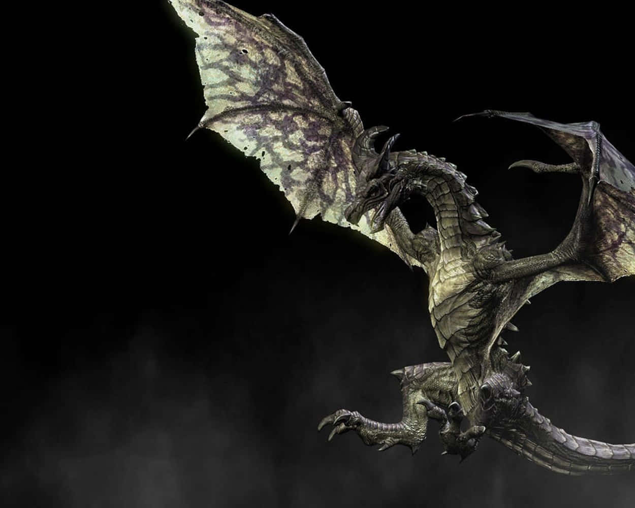 Unleash The Power Of Your Dreams With A Real Dragon! Background