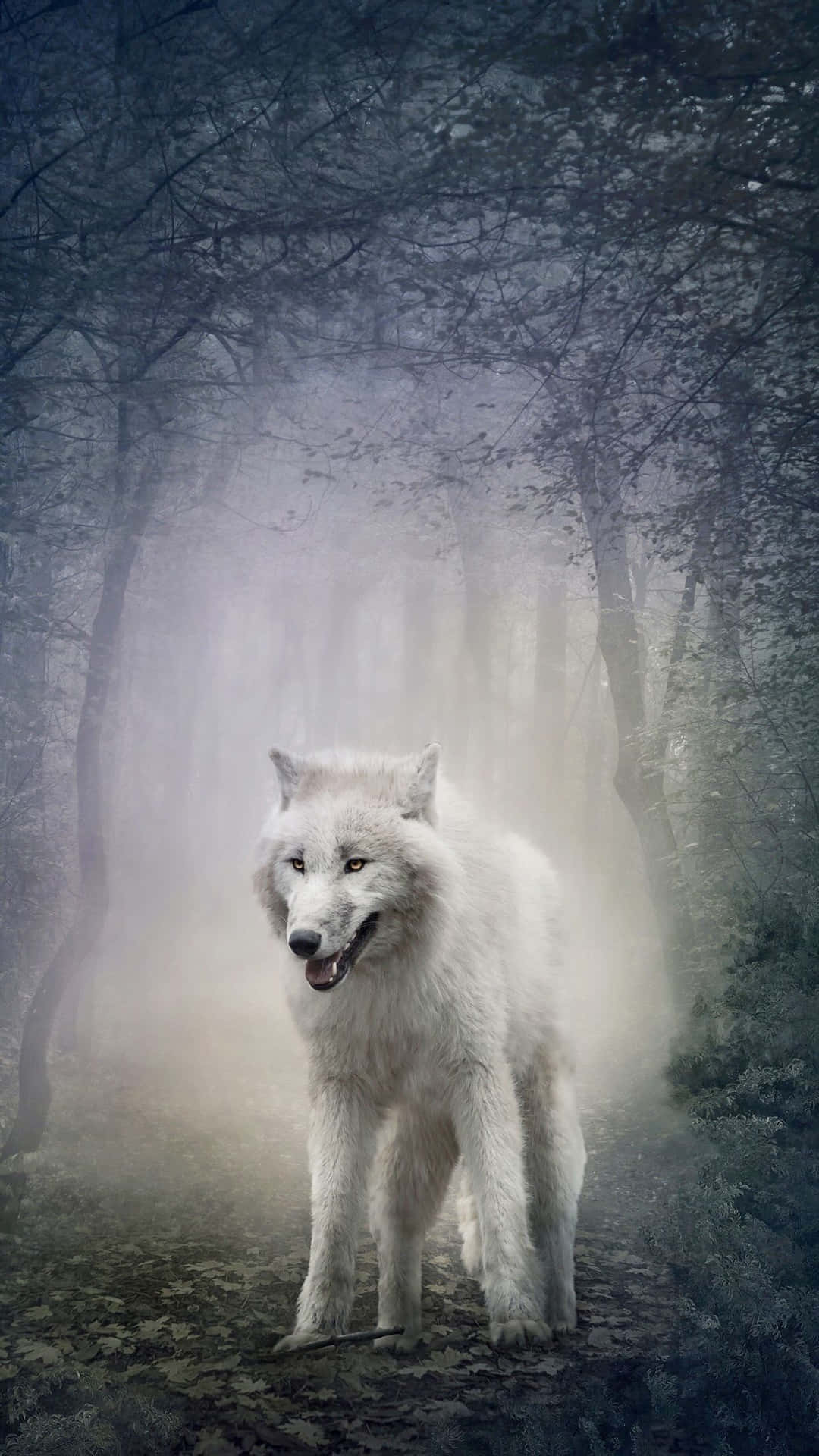 Unleash The Wild Within — Wolf Iphone Wallpaper