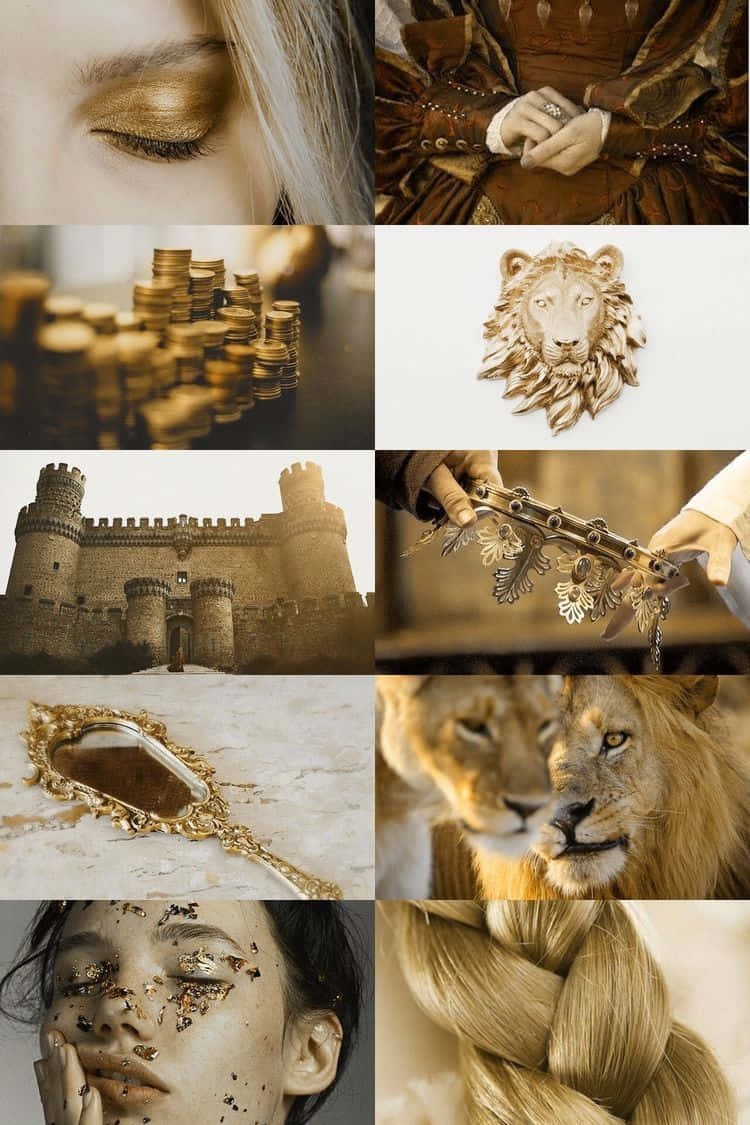 Unleash Your Inner Lion With Leo Aesthetic! Background