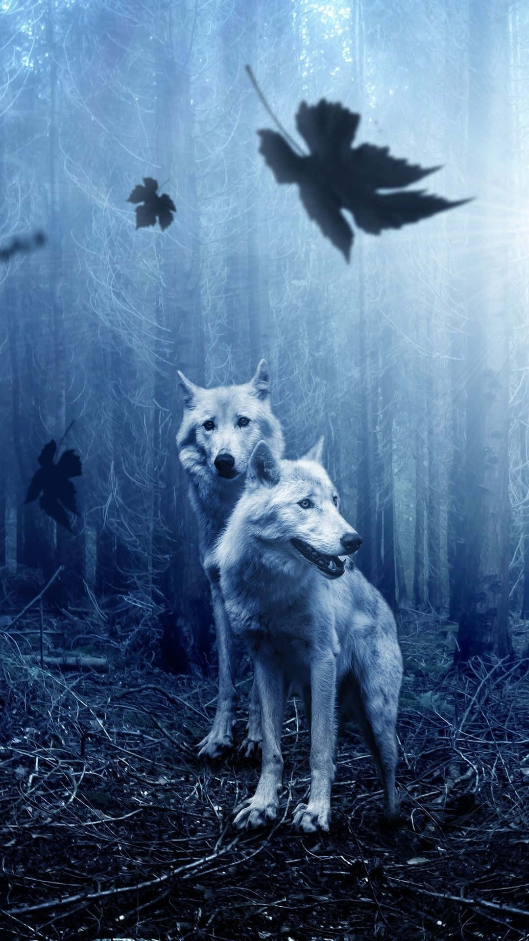 Unleash Your Wolf Phone Background
