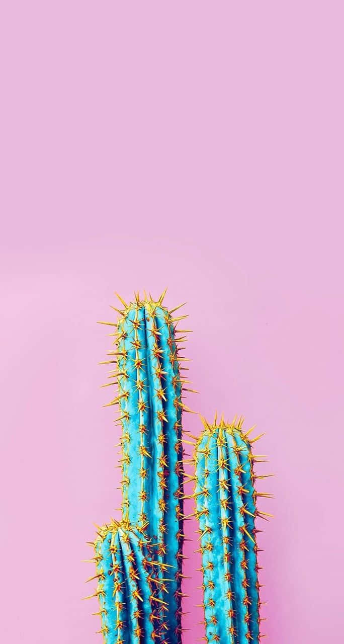 Unleashing Natural Aesthetics: Exquisite Cactus In Full Bloom Background
