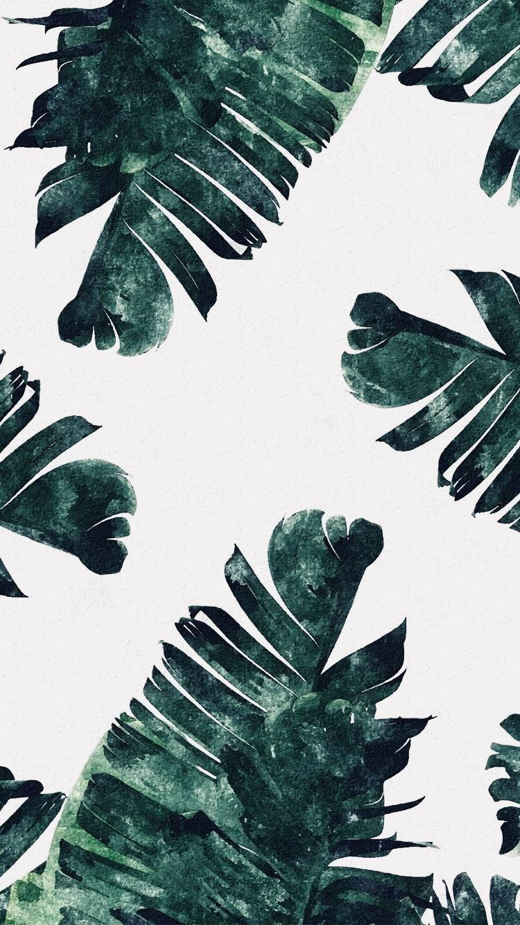 Unlock Aesthetic With This Rustic Green Iphone Background