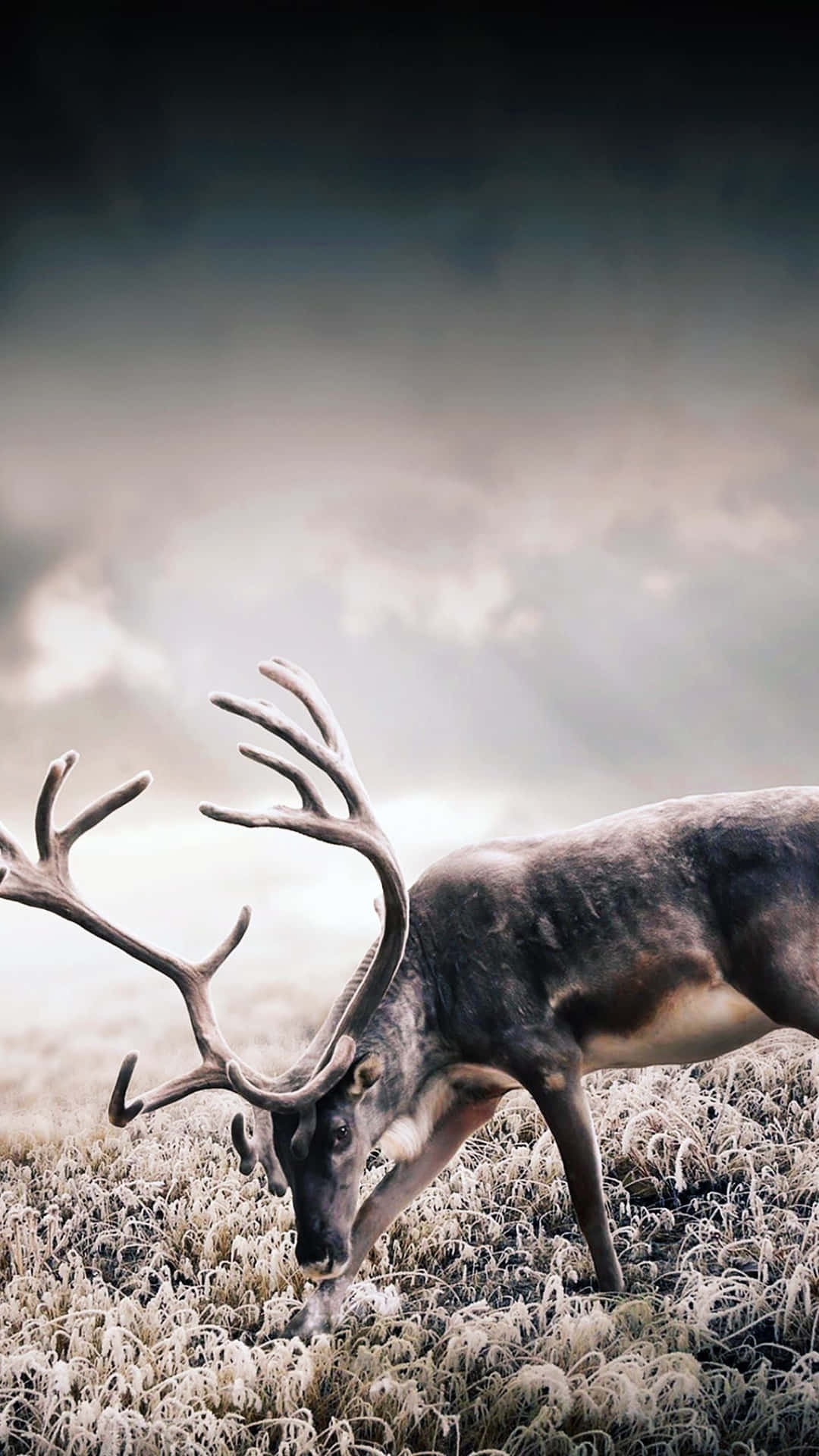 Unlock The Power Of Hunting Background