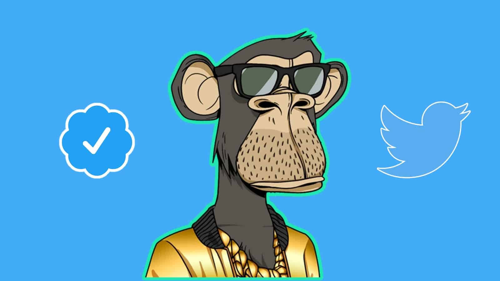 Unlock The Power Of Nfts With Nft Monkey