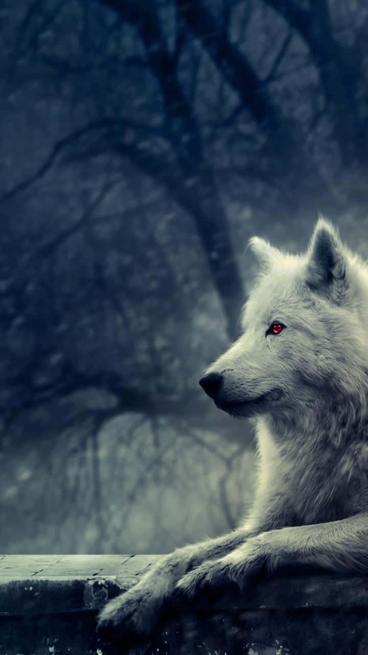 Unlock The Power Of Wolf Phone Background