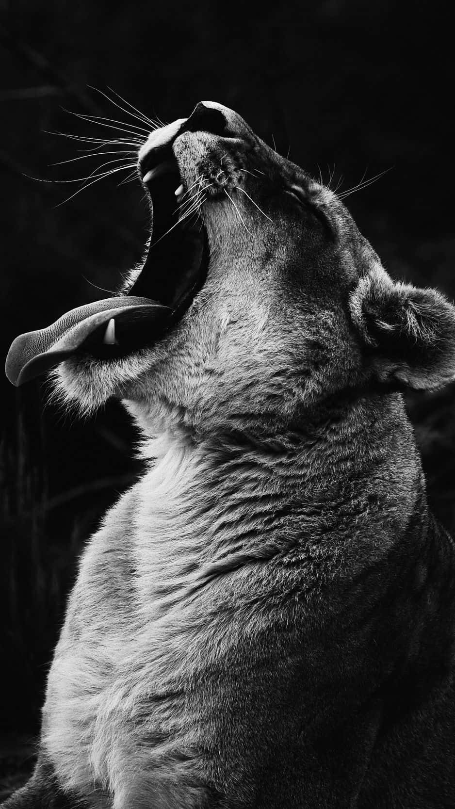 Unlock The Revolutionary Power Of The New Scream Iphone Background
