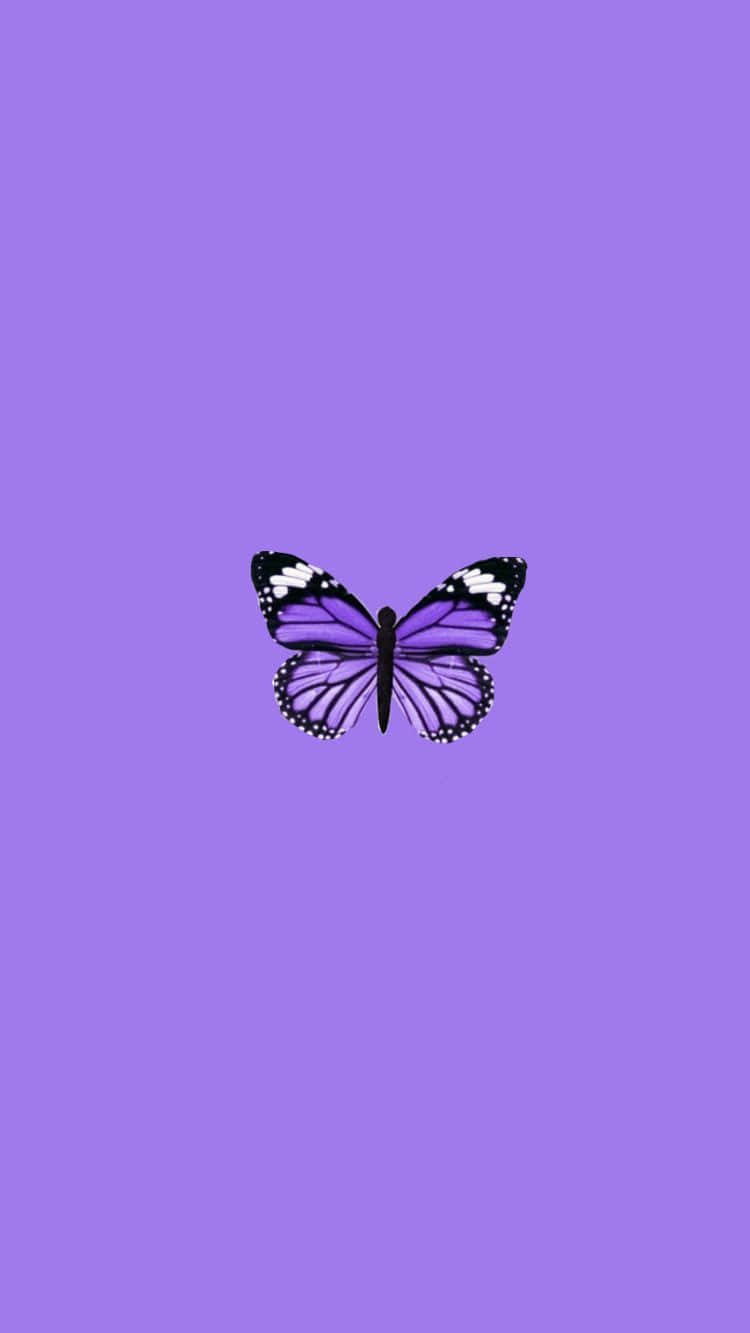 Unlock Your Creativity With The Purple Butterfly Iphone Background