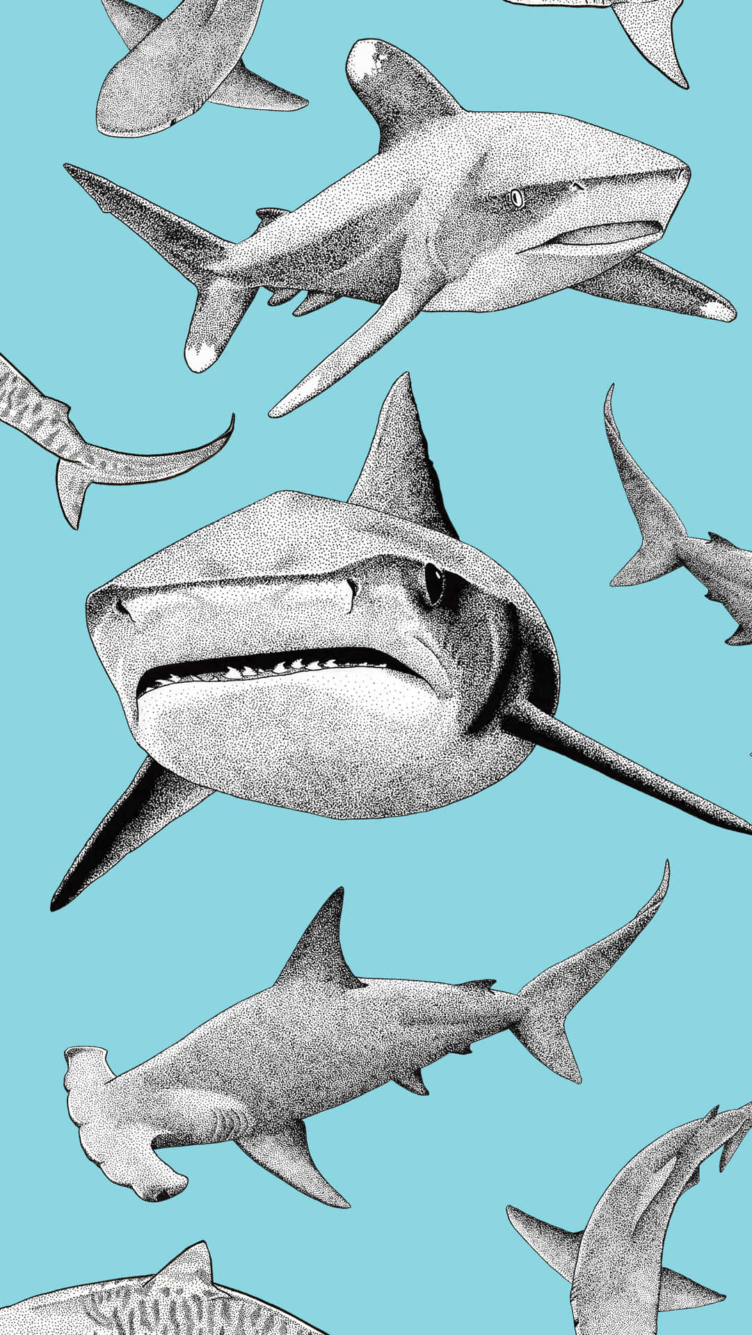 Unlock Your Phone With The Powerful Shark Iphone Background