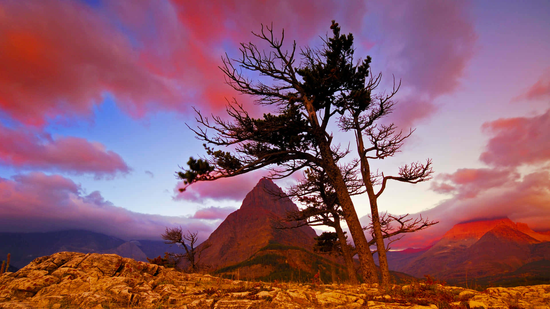 Unlocking The Best Of Google